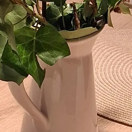 Appartement Tenios Urban Nest Retreat Kalamáta