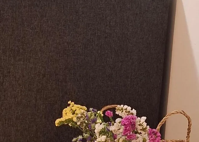 Apartamento Tenios Urban Nest Retreat *