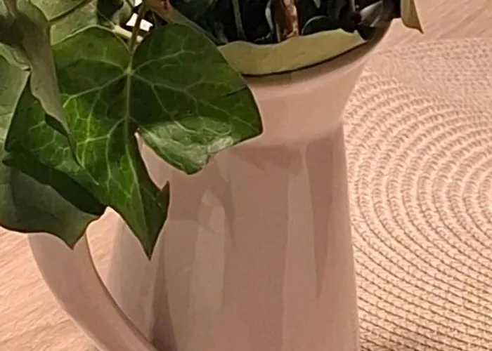 Apartamento Tenios Urban Nest Retreat Calamata